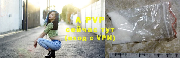 сатива Нефтекумск
