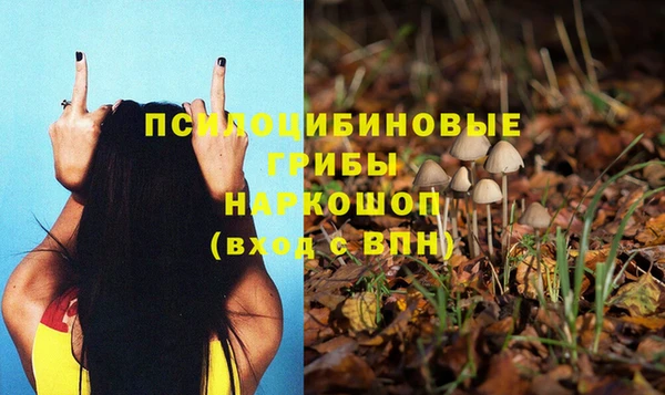 гашик Нефтегорск