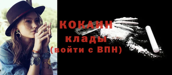 крисы Новодвинск