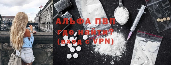 крисы Новодвинск