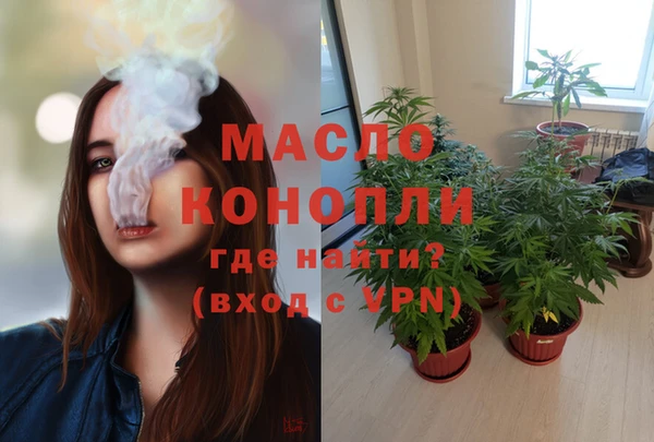 сатива Нефтекумск
