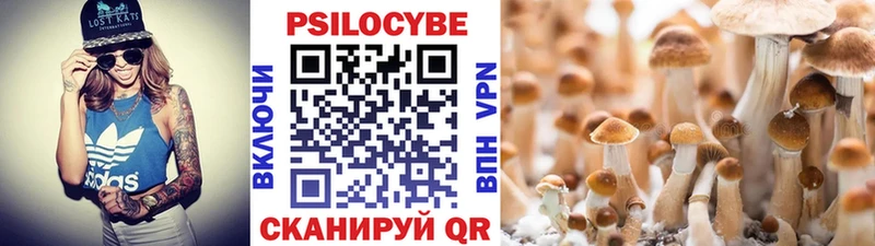 наркошоп  Опочка  блэк спрут как зайти  Псилоцибиновые грибы ЛСД 